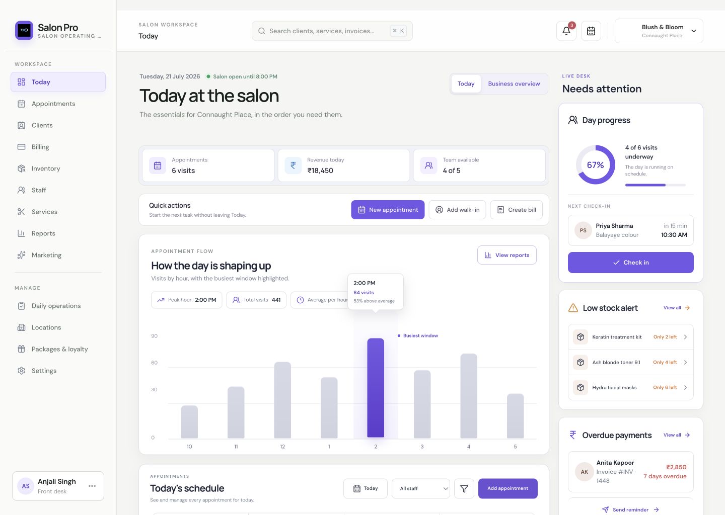 Salon Pro Today workspace